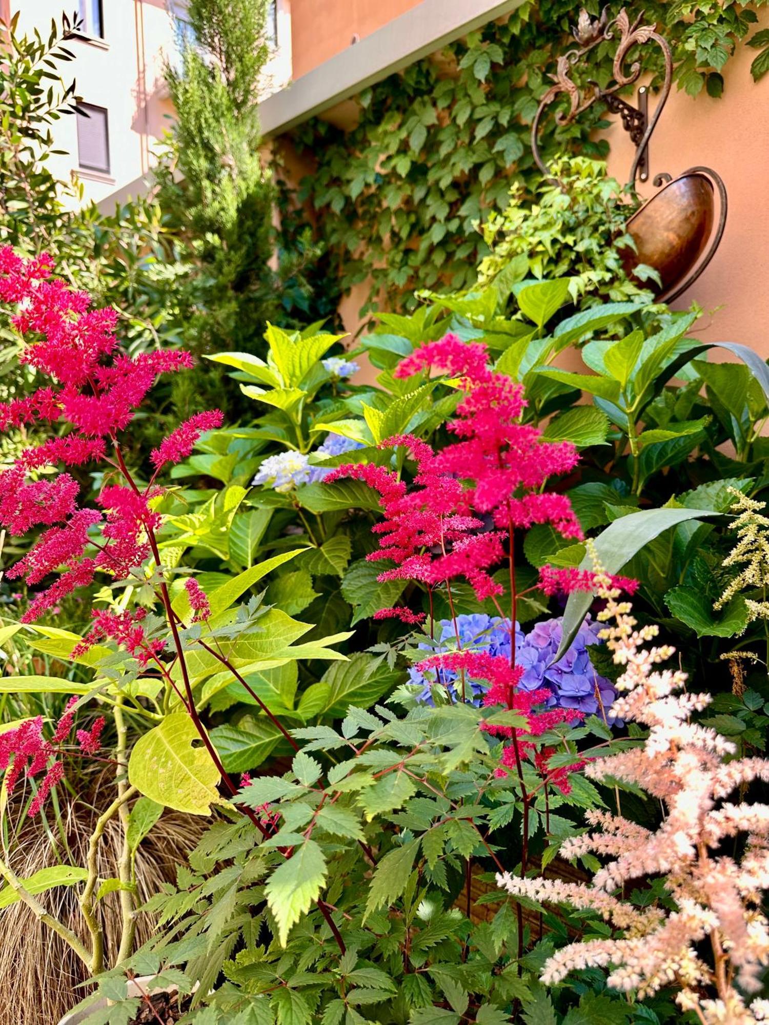 Fontana 16 Rooms Milano Dış mekan fotoğraf